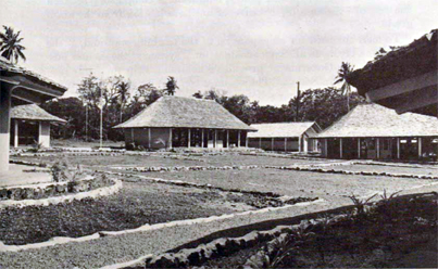 Consolidated School, Nua